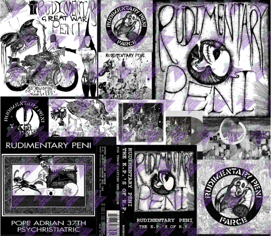Rudimentary Peni Music Fabric Design